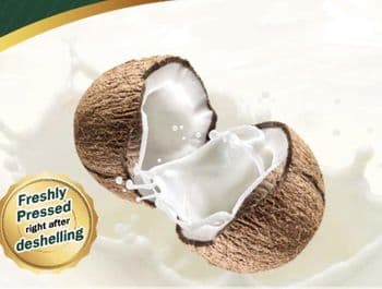 Coconut Milk Origin Thailand Product Type Sauces - NPA International Trading Co., Ltd. - Thailand
