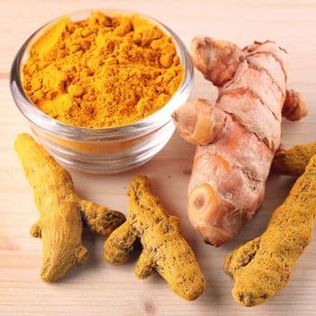 Dried Turmeric Roots Rich In Turmeric Compounds Ideal For Extract Production And Herbal Supplement Manufacturers - THE GREEN INTERNATIONAL LIMITED - Tanzania