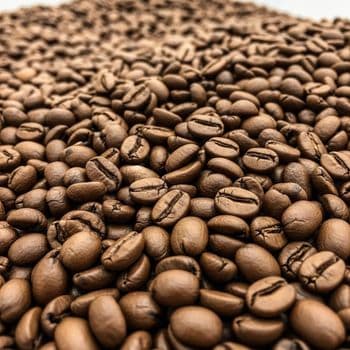 Organic Coffee Medium Roast Bean Collection With Balanced Flavor For Retail Distributors And Beverage Industry Buyers - TOSOH INTERNATIONAL - South Africa