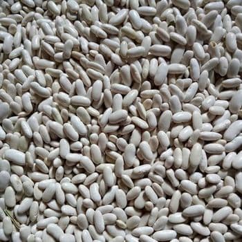 white beans Packing Weight 25 Kg Grain Weight 190-210 - Egitra Co. - Egypt