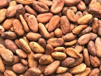 Cocoa Beans Origin Kenyan Cadmium Content Low Place of Origin kenya Quality Rating Fine And Flavour Certifications Ecocert (nop And Eu) - DABELU ENTERPRISES LIMITED - Kenya