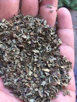 Pepper, Clove, Mango Powder - Elmotmiz Herbs - Egypt