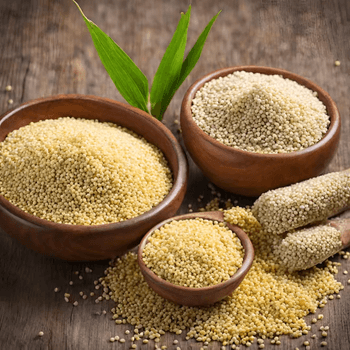 High Quality Millet Seeds For Cooking Baking And Wholesome Food Production With Fresh Natural Taste - Carla Pisselli Commercio - Brazil