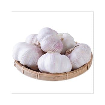 Bulk fresh garlic supply for wholesalers and distributors White fresh garlic with uniform size and premium quality grading Fresh garlic for making sauces pickles and spice blends Organic fresh garlic produced without chemicals or additives - SATTER FOOD AND BEVERAGE - Netherlands