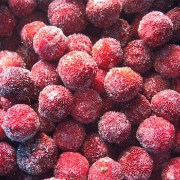Fresh IQF Frozen Waxberry Bayberry-Premium Quality Grade a Port Xiamen Origin Longhai Storage Type Frozen Fruit Type Waxberry - 龙海市格林水产有限公司 - China
