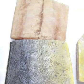 Frozen Mahi Mahi Fish 98% Pure Seafood Selection With Natural Freshness And Advanced Freezing Technology - TOSOH INTERNATIONAL - South Africa