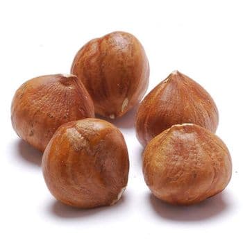 Export Ready Hazelnuts Offering Strong Natural Flavor Balanced Texture And Dependable Bulk Availability - TOSOH INTERNATIONAL - South Africa
