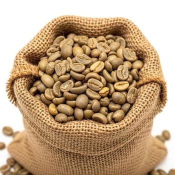 Organic Coffee Premium Arabica Bean Selection For Roasters Export Buyers And High Volume Beverage Suppliers - TOSOH INTERNATIONAL - South Africa