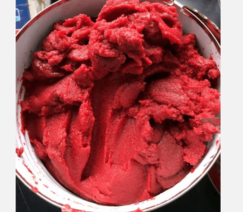 Canned Tomato Paste Grade A Packaging - TRADE NEPAL LLC - United States