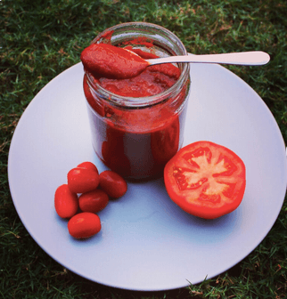 Canned Tomato Paste / Tin Tomato Paste10g 1kg 300g for sale.Double Concentrated Tomato Paste 28-30% Canned or Sachet Tomato paste. - Almaa SCS - Belgium