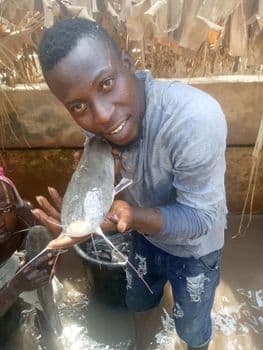 Dried Catfish Origin Nigeria Package Weight 500 Grm, 500grm Quality Grade USDA Choice, Usda Choice - Chance Tee Technologies - Nigeria