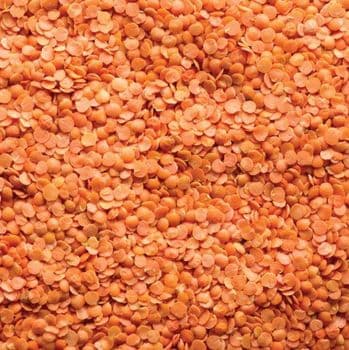 Red Lentils Split (Pulses) Purity ≥ 99% Ash Content ≤ 3% Live Insects None Fat Content 0.5–2% Origin South Africa Foreign Matter ≤ 0.5% - BF GLOBAL TRADING (PTY) LTD - South Africa