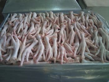 High Quality Halal Frozen Chicken Paws and Feet with Vitamins in Box Packaging BQF Process Top Grade 12 Month For Sale - Carla Pisselli Commercio - Brazil