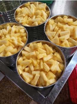 Premium Canned Pineapple Slices Chunks Tidbits in Syrup Bulk Packing for Wholesale Export - Viet D.E.L.T.A Industrial Co.Ltd. - Vietnam
