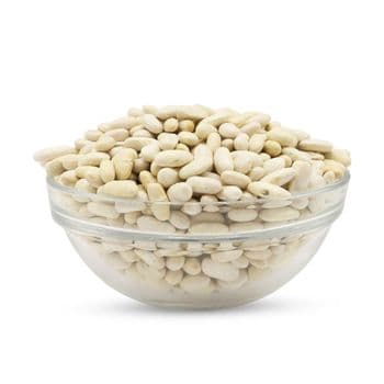 White Kidney Beans Natural Protein Rich Pulses For International Buyers Featuring Clean Sorting And Uniform Sizing Standards - TOSOH INTERNATIONAL - South Africa