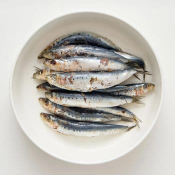 Frozen Sardine Fish Premium Export Selection Featuring High Nutritional Content And Controlled Frozen Storage - TOSOH INTERNATIONAL - South Africa