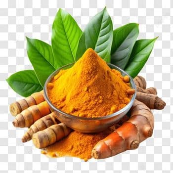 Turmeric - lilybees industrial company - Bangladesh