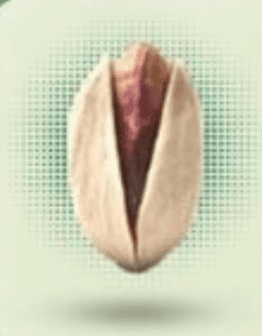 Akbari Pistachio in Shell Place of Origin Iran Type Akbari in shell - DUVAANTE TRADING - United Arab Emirates