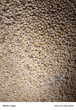 Soyabeans - Medilight global investment limited - Nigeria