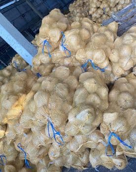 Mature coconut husked Grade A Form Whole Origin Vietnam Color Yellow brown Packaging Mesh bag Maturity Stage Mature Weight (kg) 1.2kg - 1.5kg - HJ eco green - Malaysia