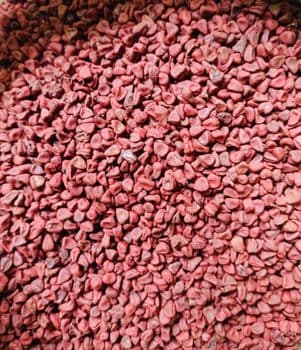 Annatto Seeds Purity 99%–99.50% Color Naturally Vibrant Processing Method Cleaned, Machine-sorted, And - Quessentials Pvt Ltd - India