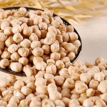 Nutritious Chickpeas High Protein Legume Crop With Excellent Quality Standards For Wholesale Market Distribution - TOSOH INTERNATIONAL - South Africa