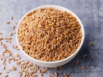 Premium Quality Wheat Grains for Flour, Bakery & Food Processing | Bulk Supply - THE GREEN INTERNATIONAL LIMITED - Tanzania