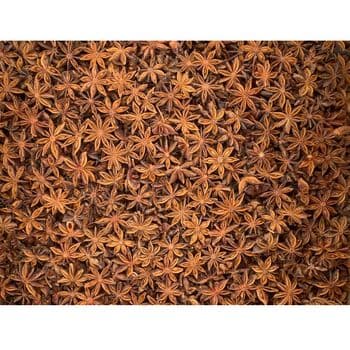 Factory Wholesale Low Price Star Anise Best Quality Star Aniseed Dried Star Anise Spices for Tea Cooking Decoration - EXPO COMMODITIES (VIET NAM) COMPANY LIMITED - Vietnam