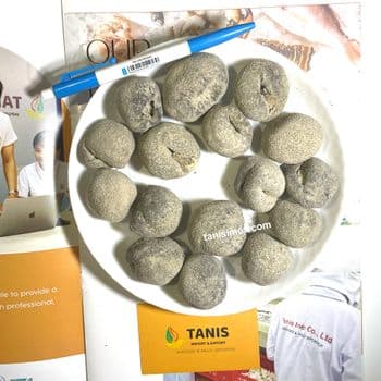 Wholesaler dry pearl sea cucumber high quality can be exported as border trade, Dried Pearl Sea Cucumber - TANIS IMPORT & EXPORT COMPANY LIMITED - Vietnam