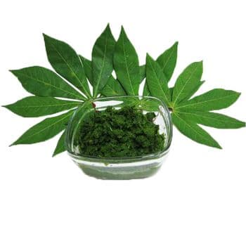 Wholesale Cheap Price OEM Organic Sliced Frozen Cassava Frozen Cassava Leaf High Quality best price for Export - TANIS IMPORT & EXPORT COMPANY LIMITED - Vietnam