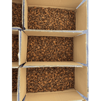 Wholesale Low Price Star Anise Best Quality Star Aniseed Dried Star Anise Spices for Tea Cooking Decoration - EXPO COMMODITIES (VIET NAM) COMPANY LIMITED - Vietnam