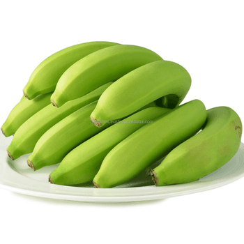 SUSTAINABLE BANANA EXPORT: PREMIUM QUALITY FOR YOUR B2B BUSINESS - TANIS IMPORT & EXPORT COMPANY LIMITED - Vietnam