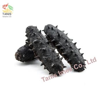Good Quality Dried Sea Cucumber | Exported by Tanis Imex Co., Ltd from Vietnam - TANIS IMPORT & EXPORT COMPANY LIMITED - Vietnam