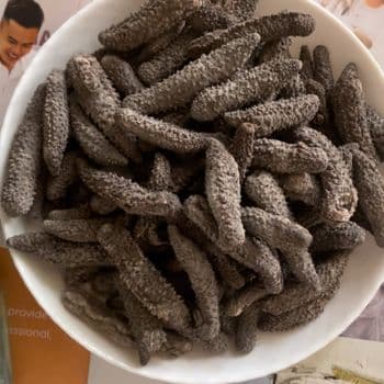 Dry sea cucumber, high quality sea cucumber, dried sea cucumber origin from Vietnam - TANIS IMPORT & EXPORT COMPANY LIMITED - Vietnam