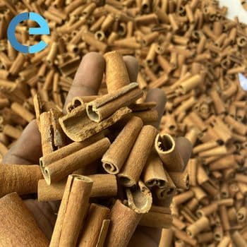 GOOD PRICE CINNAMON STICK YEN BAI VIETNAM CASSIA HOT SALE PRODUCT INDIA ORGANIC SALE IN BULK FOR FOOD - EXPO COMMODITIES (VIET NAM) COMPANY LIMITED - Vietnam