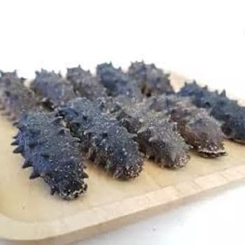 Wholesales price for Sea cucumber dried | best seller product!! Dry sea cucumber - TANIS IMPORT & EXPORT COMPANY LIMITED - Vietnam