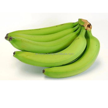 EXCLUSIVE B2B OFFER: GLOBAL BANANA LOGISTICS MADE EASY Grade A Type BANANA Style Fresh Color green Weight (kg) 13 Content - TANIS IMPORT & EXPORT COMPANY LIMITED - Vietnam