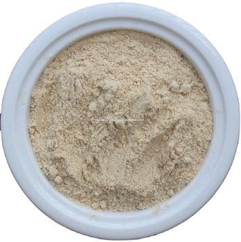 NS Vina Hot sale good quality for making cake/ pate/ sauce roasted cashew nut powder - NS VINA IMPORT EXPORT TRADING MANUFACTURING COMPANY LIMITED - Vietnam