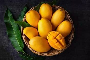 Mango - Vije's - Sri Lanka