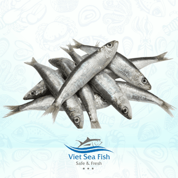 Frozen Sardine Fish Size 20/30 Per Kg, 30-40 Pcs/kg Species Sardinella Aurita/sardinella Longiceps, Sardinops - Viet Sea Fish Ltd., Co. - Vietnam