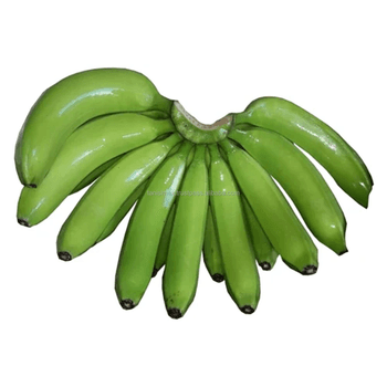 GLOBAL B2B BANANA TRADE - SOURCE THE BEST CAVENDISH VARIETY Grade A Type BANANA Style Fresh Color green Weight (kg) 13 Content - TANIS IMPORT & EXPORT COMPANY LIMITED - Vietnam