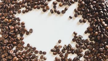 Premium Grade Arabica & Robusta Organic Roasted Coffee Beans Premium Grade 25kg/bag - Carla Pisselli Commercio - Brazil