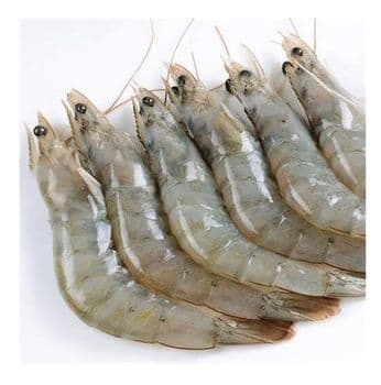 Wholesale Frozen Whiteleg Shrimp (Vannamei) for Export Features No Preservatives, Organic - Exigentelaxia Unipessoal Lda - Portugal