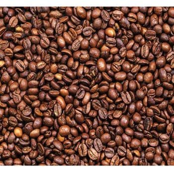 Arabica Coffee Bean Premium Green Coffee Crop With Balanced Acidity Smooth Finish And Export Ready Quantities - TOSOH INTERNATIONAL - South Africa