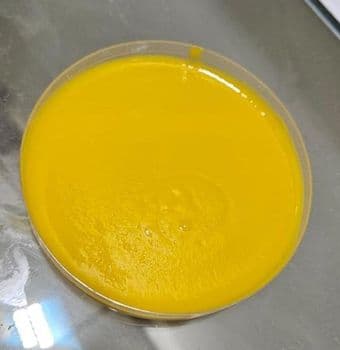 Desi Mango Puree Like Totapuri 14-18 Brix Single Strength Weight (kg) 210 KG Quality COA ATTACHED Place of Origin PAKISTAN - A A Pulp & Puree Private Limited - Pakistan