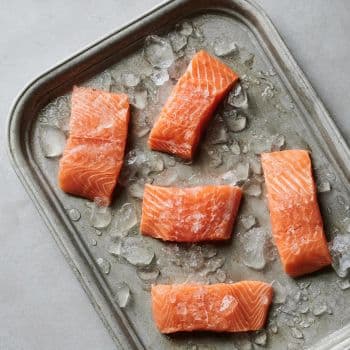 Fresh Salmon Fillet Carefully Selected Ocean Harvest For Seafood Importers Food Service And Retail Demand - TOSOH INTERNATIONAL - South Africa