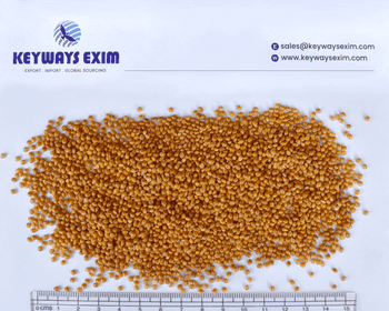 yellow millet Purity 99% Digestibility Excellent Moisture Content Below 12% Color Uniform Golden-yellow Grain Appearance Golden-yellow Grains - keyways exim - India