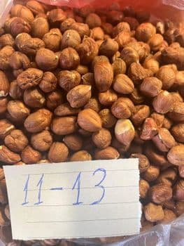 Hazel Nut - GLOBAL SMART LLC - Georgia