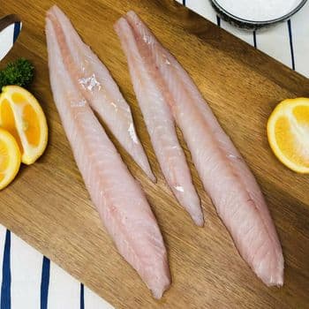 Frozen Cod Fish Wild Ocean Selection Packed For Bulk Orders Requiring Fresh Taste And Professional Handling Standards - TOSOH INTERNATIONAL - South Africa