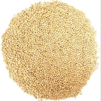 Premium Organic Millet Grain For Healthy Daily Meals And Natural Nutrition Rich Farm Fresh Quality Supply - Carla Pisselli Commercio - Brazil